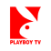 PLAYBOY TV