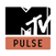 MTV PULSE